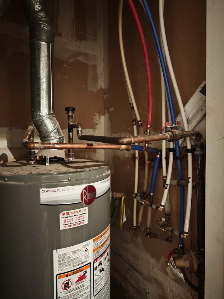 Geyser repairs